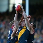 262905-tlslargethumbnail.jpg